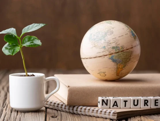 practice-Environmental Law