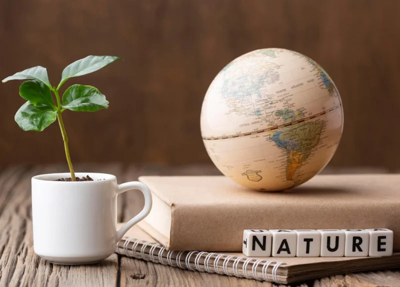 practice-Environmental Law